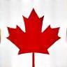 Maple Leaf Auto Service Small Icon
